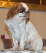 JCh. BLANCHE from Minitz