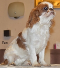 AUDREY od Dvou ořechů