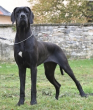 RODOLPHA from Minitz